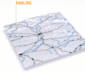 3d view of Padling