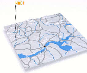 3d view of Wadi