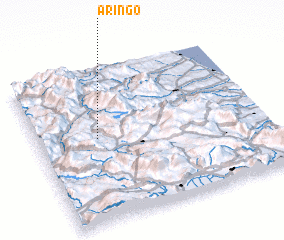 3d view of Aringo