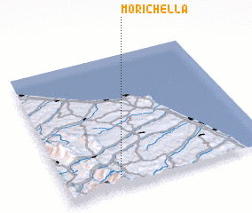 3d view of Morichella