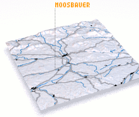 3d view of Moosbauer