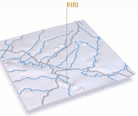 3d view of Pini