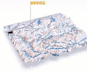 3d view of Hipping