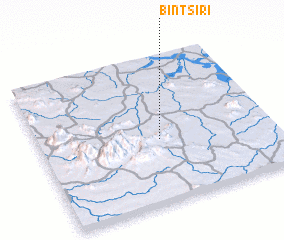 3d view of Bintsiri