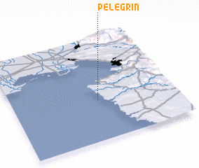 3d view of Pelegrin