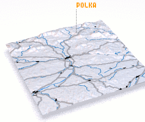 3d view of Polka