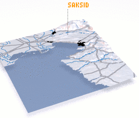 3d view of Saksid