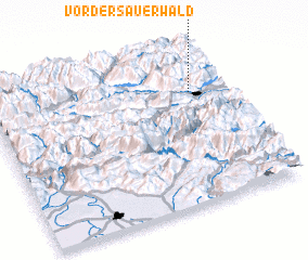 3d view of Vordersauerwald