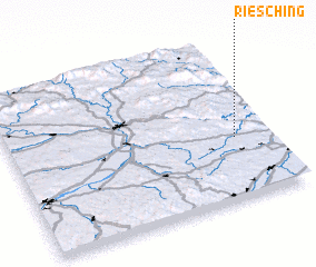 3d view of Riesching