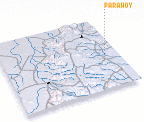 3d view of Parawoy