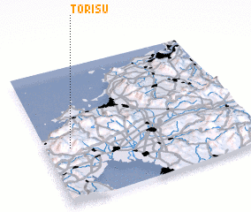 3d view of Torisu