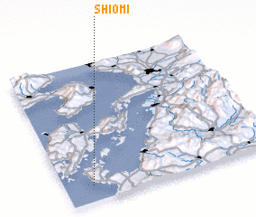 3d view of Shiomi