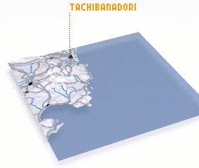 3d view of Tachibanadōri