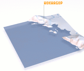 3d view of Wokwagop