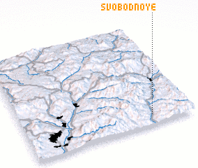 3d view of Svobodnoye