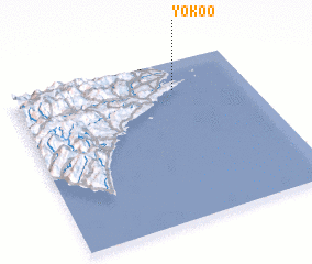 3d view of Yokoo