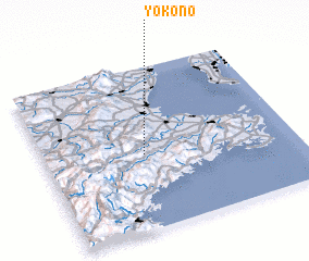 3d view of Yokono