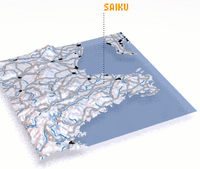 3d view of Saikū