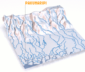 3d view of Pakumaripi