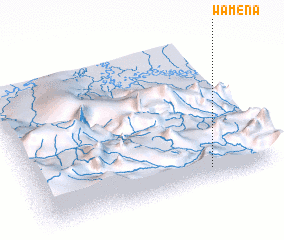 3d view of Wamena