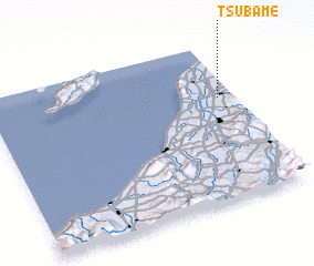 3d view of Tsubame