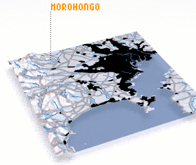 3d view of Morohongō