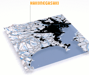 3d view of Hakonegasaki