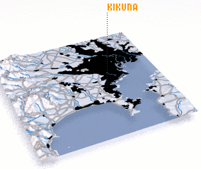 3d view of Kikuna