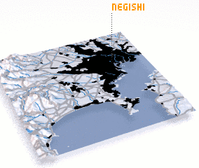 3d view of Negishi