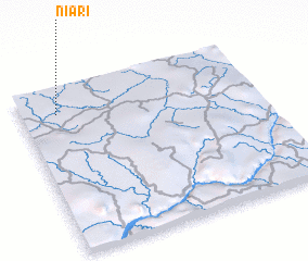 3d view of Niari