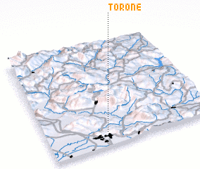 3d view of Torone