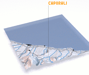 3d view of Caporali