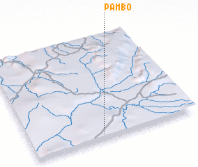 3d view of Pambo