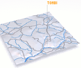 3d view of Tombi