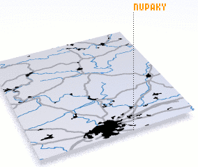 3d view of Nupaky