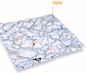 3d view of Toro