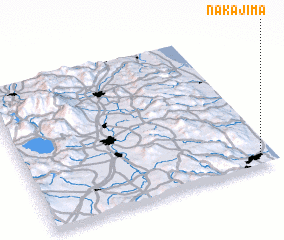 3d view of Nakajima