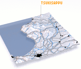 3d view of Tsukisappu