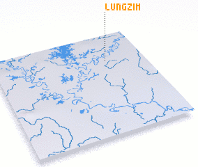 3d view of Lungzim