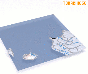 3d view of Tomarikese