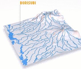 3d view of Borisubi