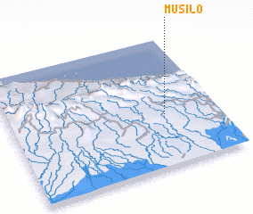 3d view of Musilo