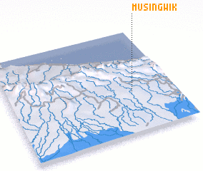 3d view of Musingwik