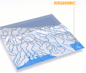 3d view of Ningaumbi 2