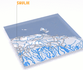 3d view of Saulik