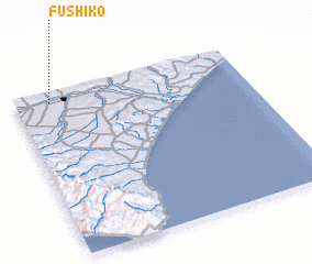 3d view of Fushiko