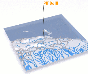 3d view of Pindjim