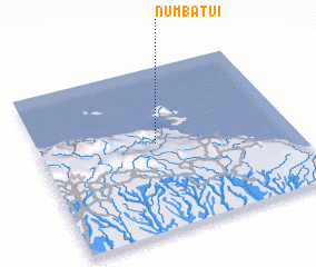 3d view of Numbatui