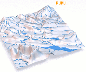 3d view of Pupu