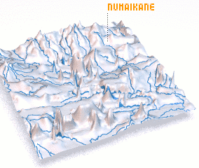 3d view of Numaikane